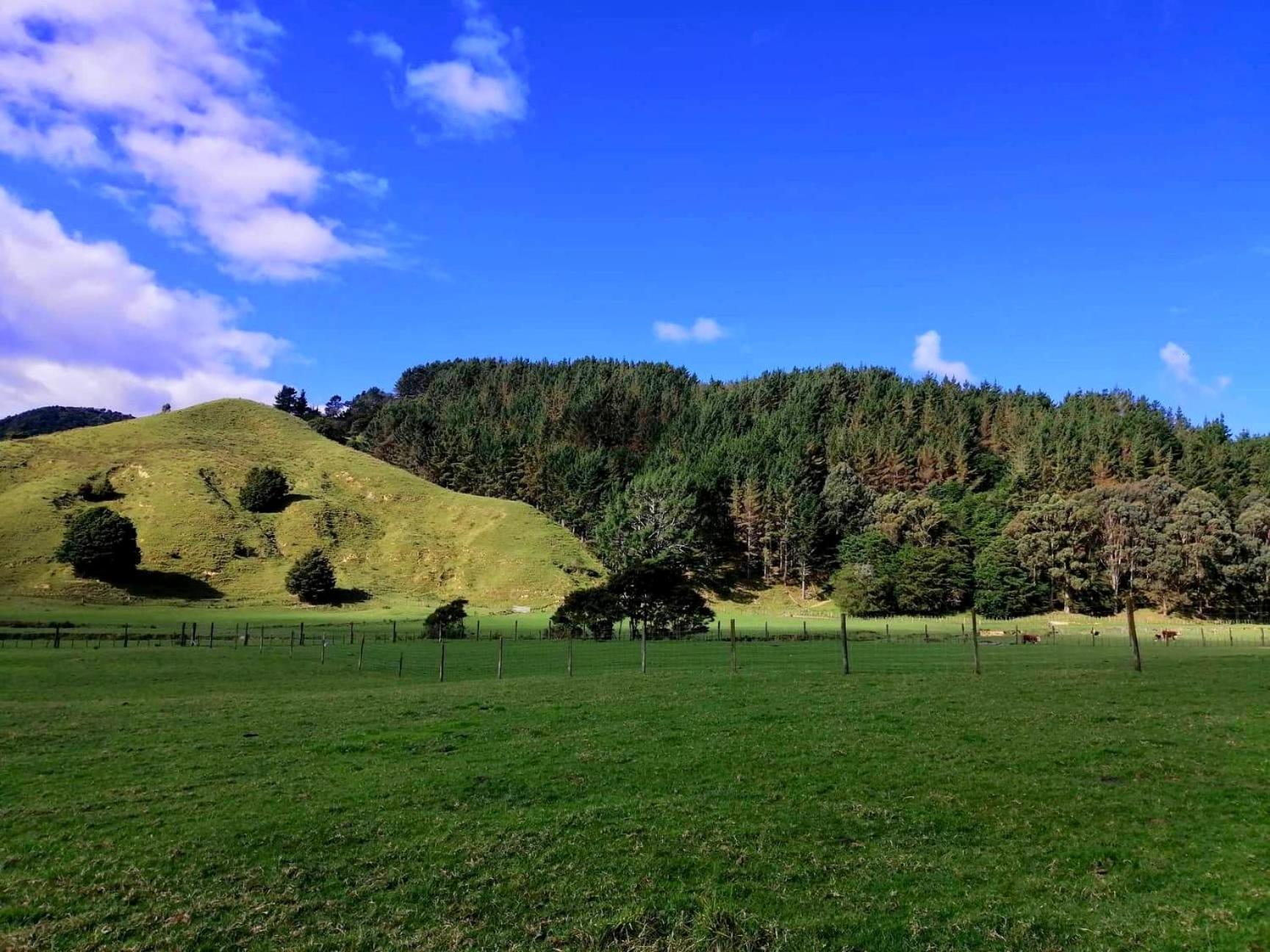 White Star Station Farm Holiday Park Coromandel Exterior foto